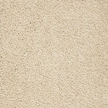 Alfombra en Rollo Pleasant Touch Frosted Almond 519 (Rollo de 2.50x3.66 mts)