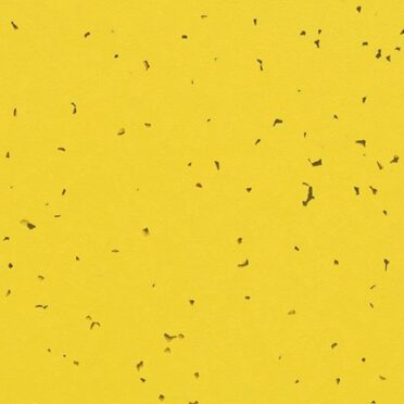 Piso Vinilico en Rollo Sphera Energetic Yellow